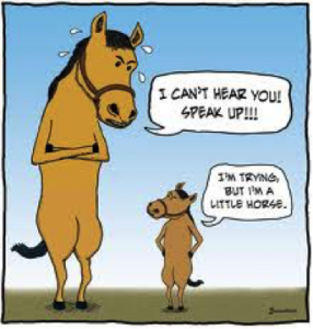 horse joke